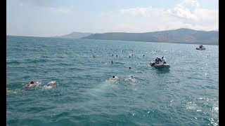 Tatvanda 60 Gönüllü 5 Kilometreyi 4 Saatte Yüzdü - Bitlis Bülten