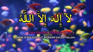 LAILAHAILLALLAH: Calming Islamic Dzikir for Relaxation, Stress Relief & Peaceful Sleep #108