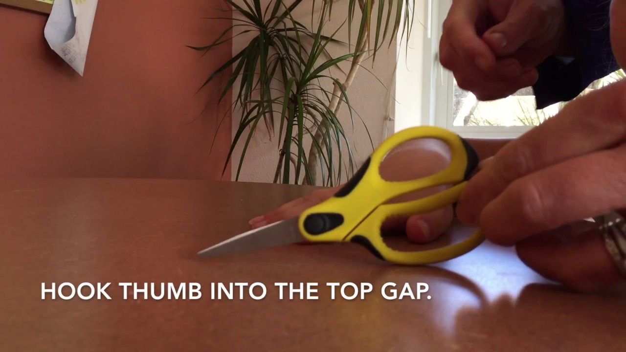 How to Hold Scissors While Cutting Hair - Howcast