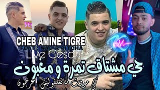 Cheb Amine Tigre 2023 Hay Machtagh Tamra w Maghboun © Avec Nadir Pitcha ( Live César 2023)