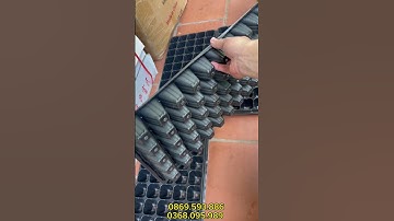 MẪU KHAY 50 lỗ chuyên trồng rau sạch và ươm cây giống siêu bền- SIÊU TIỆN LỢI- GIÁ RẺ 0869.593.886