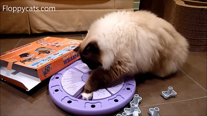 Watch the video about Curiosity and Fun Unleashed