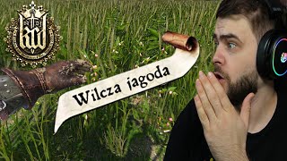 Wilcze Jagody i idealny przepis na Sznapsa - Kingdom Come: Deliverance (#13)