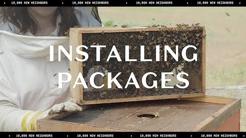 How to Install a Honey Bee Package