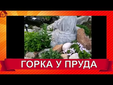 Горочка у пруда расцвела