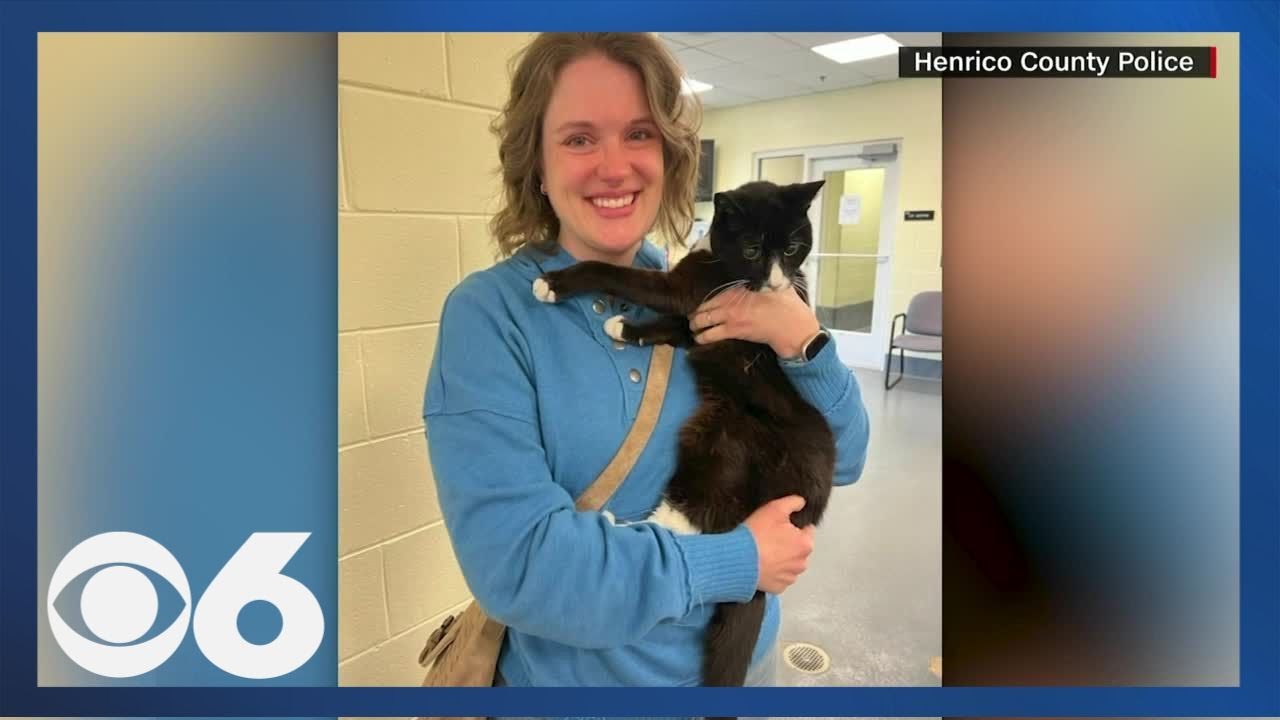 After going missing for 9 years, cat reunited with Virginia owner - YouTube