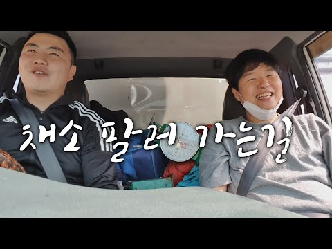 부산 엄궁 농산물 도매시장/ 야채, 채소 장사 / 아파트 장터 / 젊은 사장 / 마실남 장터 일용직 노동 체험기 / 2부