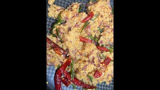 Dal Vorta Byjannatuls Vlogs From Usa