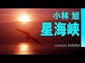 星海峡 小林旭 Cover HARU 星海峡 小林旭 Cover HARU