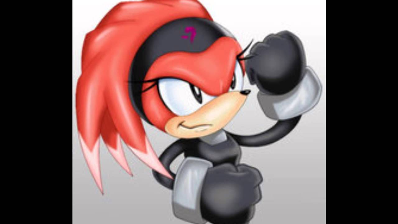 Shade the Echidna: F ing Perfect
