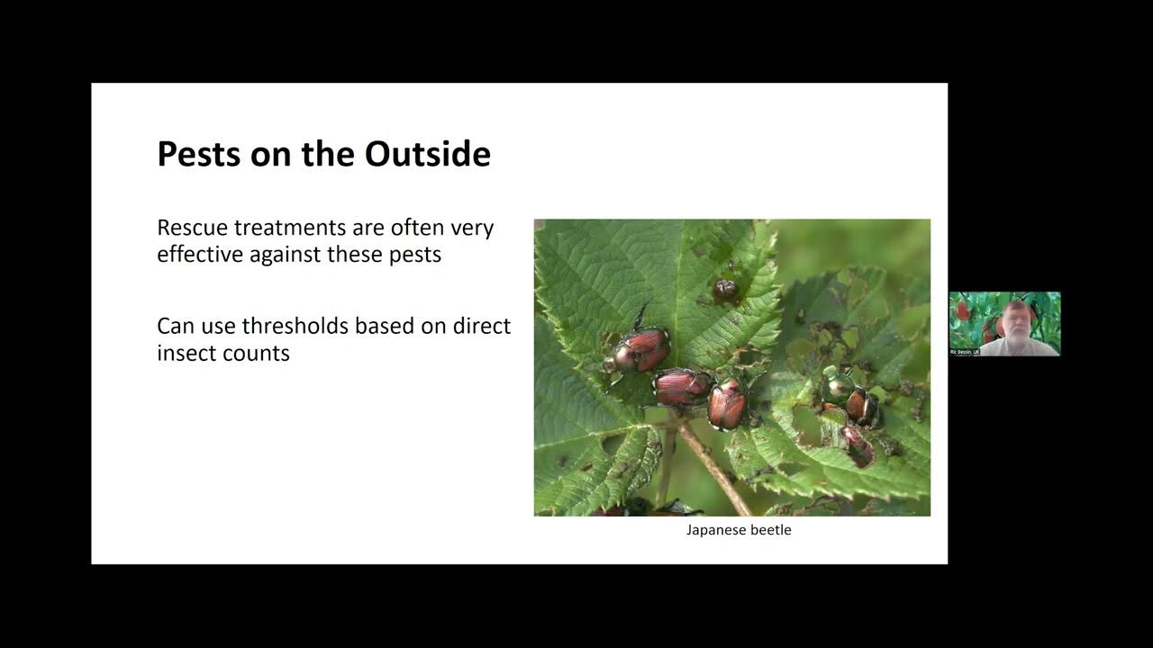 IPM of Insects When Insecticides Don't Work YouTube