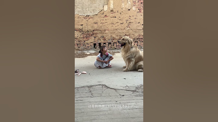 This dog 🐕 gets kicked out of his house by his owner 🧑‍🏫! #foryou