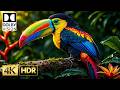 Animals Nature Video | Craziest Dolby Vision HDR TEST 120fps (8K/4K Video ULTRA HD TV)