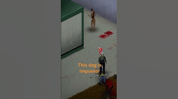 This dog is impostor! /Project Zomboid/ #projectzomboid #shorts #youtubeshorts #dog #zombie #survive