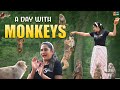 A Day With Monkeys | Unexpected Holiday | Explore The Unexplored | Fun with Monkeys | Special Moment