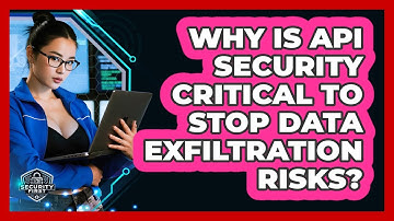 Why Is API Security Critical To Stop Data Exfiltration Risks? - SecurityFirstCorp.com