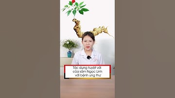 Tác dụng tuyệt vời của sâm Ngọc Linh với bệnh u.ng th.ư | Sâm Ngọc Linh Tuệ Linh #shorts