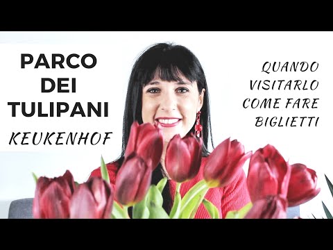 Video: 7 Domande Comuni Sui Tulipani