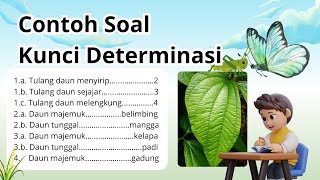Contoh Soal Kunci Determinasi dan Pembahasannya | IPA SD, SMP