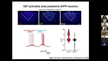 Systems Neuroscience (Part 1)