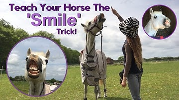HOW TO TEACH YOUR HORSE TO SMILE!