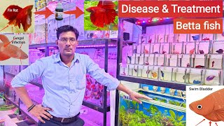 Betta fish disease & treatment || How to Save Dying betta fish || Pari Aquarium, Kurla fish market