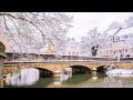 Snowfall 2021 || Luxembourg || winter in Europe 🇪🇺 😍 ❄ 🏔