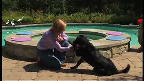 Bucca with VOSM on a GAITFour Walkway