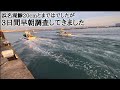 【浜名湖釣り】🎣早朝一瞬の神タイミングで良型鯵が釣れます🐟