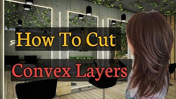 Curves and Confidence: The Convex Layer Haircut|Layercut|@ARichHairCraft #layeredhaircut
