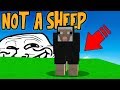 DISGUISING AS A WISH GRANTING SHEEP! (Minecraft Trolling)