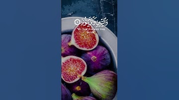 (وَٱلتِّينِ وَٱلزَّيْتُونِ )(سورة التين) شيخ عبد الباسط عبد الصمد ❤️