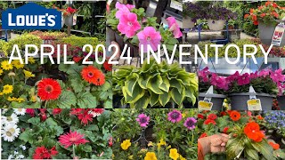 NEW ARRIVALS!  LOWE'S GARDEN CENTER APRIL 2024 INVENTORY ANNUALS PERENNIALS EVERGREENS #LOWES