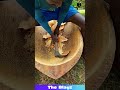 Perfect Boat Curve from a Tree Trunk?! 😳 Wood Art Level 1000! #boatmaking #woodwork #craftsmanship