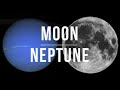 Synastry Inter-Aspect Series: MOON + NEPTUNE Compatibility