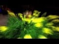 「パルプンテ」1st EP『未来は今』トレイラー