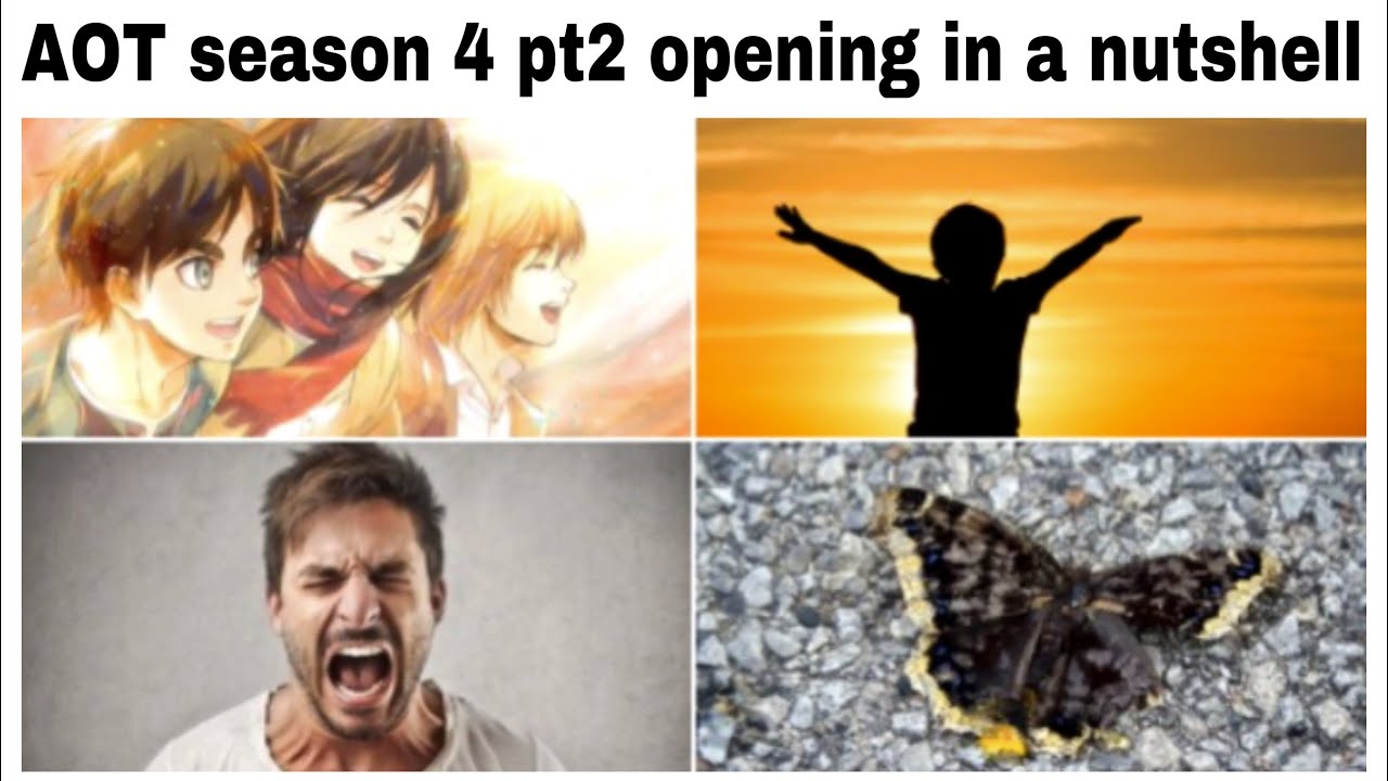 ATTACK ON TITAN MEMES 49