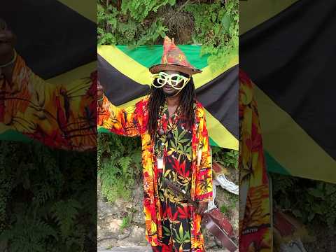 НЕВЕРОЯТНАЯ ЯМАЙКА 😍🇯🇲
