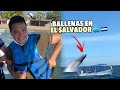 Fuimos a ver BALLENAS 🐳 en las playas de EL SALVADOR 🇸🇻