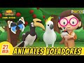 Animales Voladores Episodio Compilación [Parte 3/3] (Español) - Leo, El Explorador | Animación