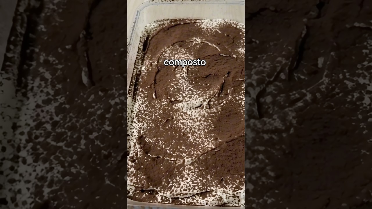 Tiramisù con Sorpresa per le Feste