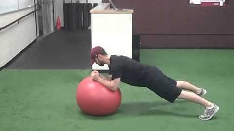 Stability Ball Front Plank Rotations