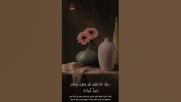 تلاوة القرآن من الشيخ عبد الباسط عبد الصمد ♥️