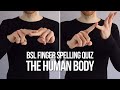 BSL Finger Spelling Quiz: The Human Body (Difficulty Level: Challenging!)