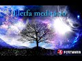 Életfa meditáció - energia, feltöltődés, földelés, stabilitás