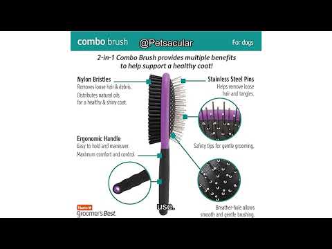 Hartz Groomer's Best