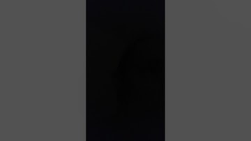 Media Communications: Week 1 Full Sail University