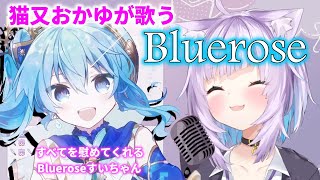 【猫又おかゆ】Bluerose / 星街すいせい【歌枠】(Nekomata Okayu / Hoshimachi Suisei) 2nd