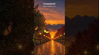 Eonquietude - Different Shades Of Love - Relaxing Soul Music