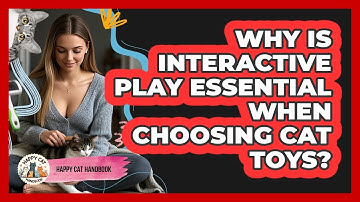Why Is Interactive Play Essential When Choosing Cat Toys? - Happy Cat Handbook